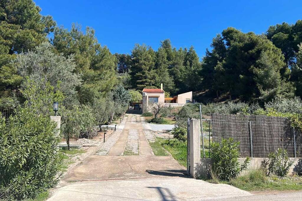 Askalosia Villa Άγιος Γεώργιος Εξωτερικό φωτογραφία
