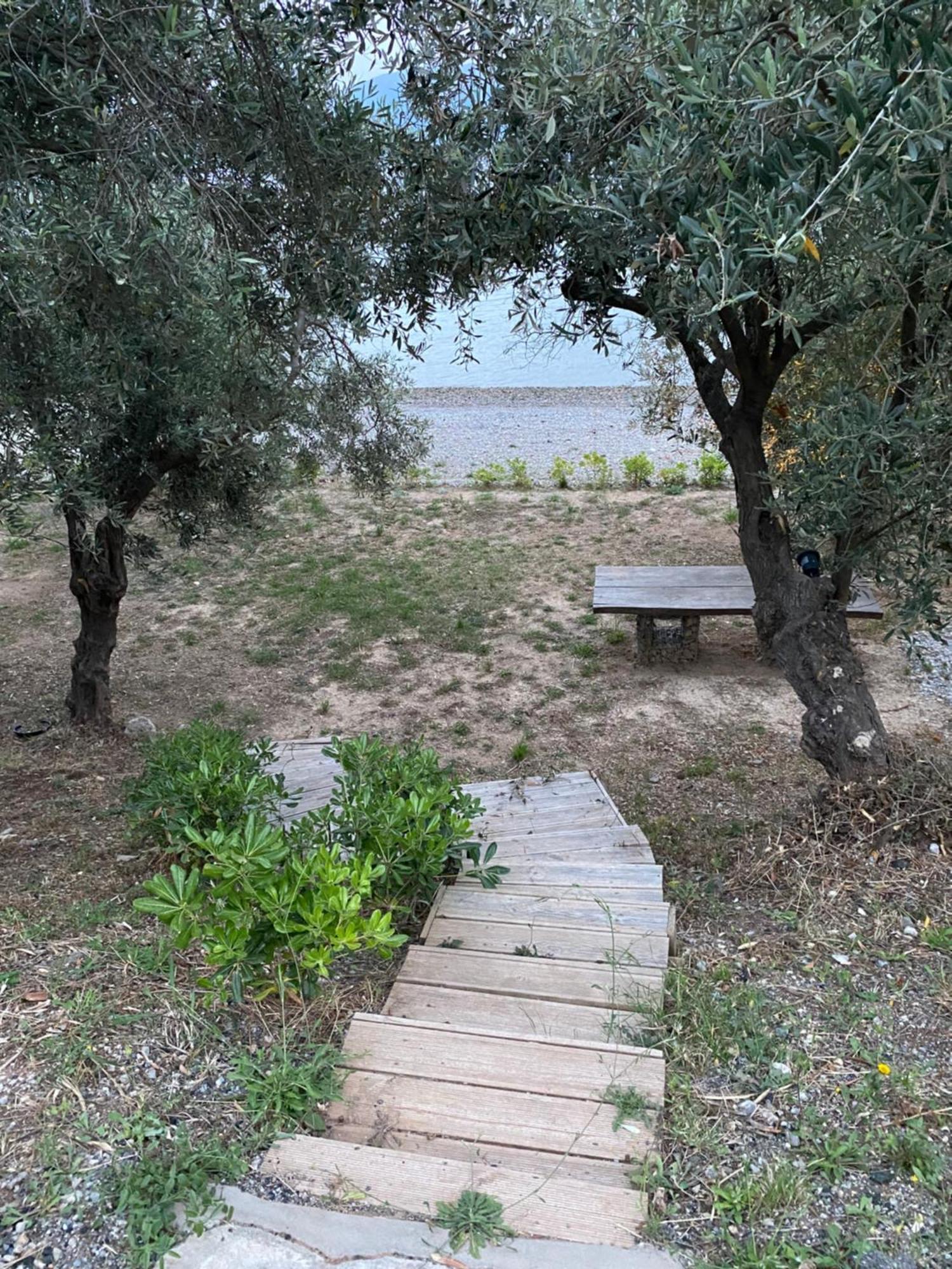 Askalosia Villa Άγιος Γεώργιος Εξωτερικό φωτογραφία