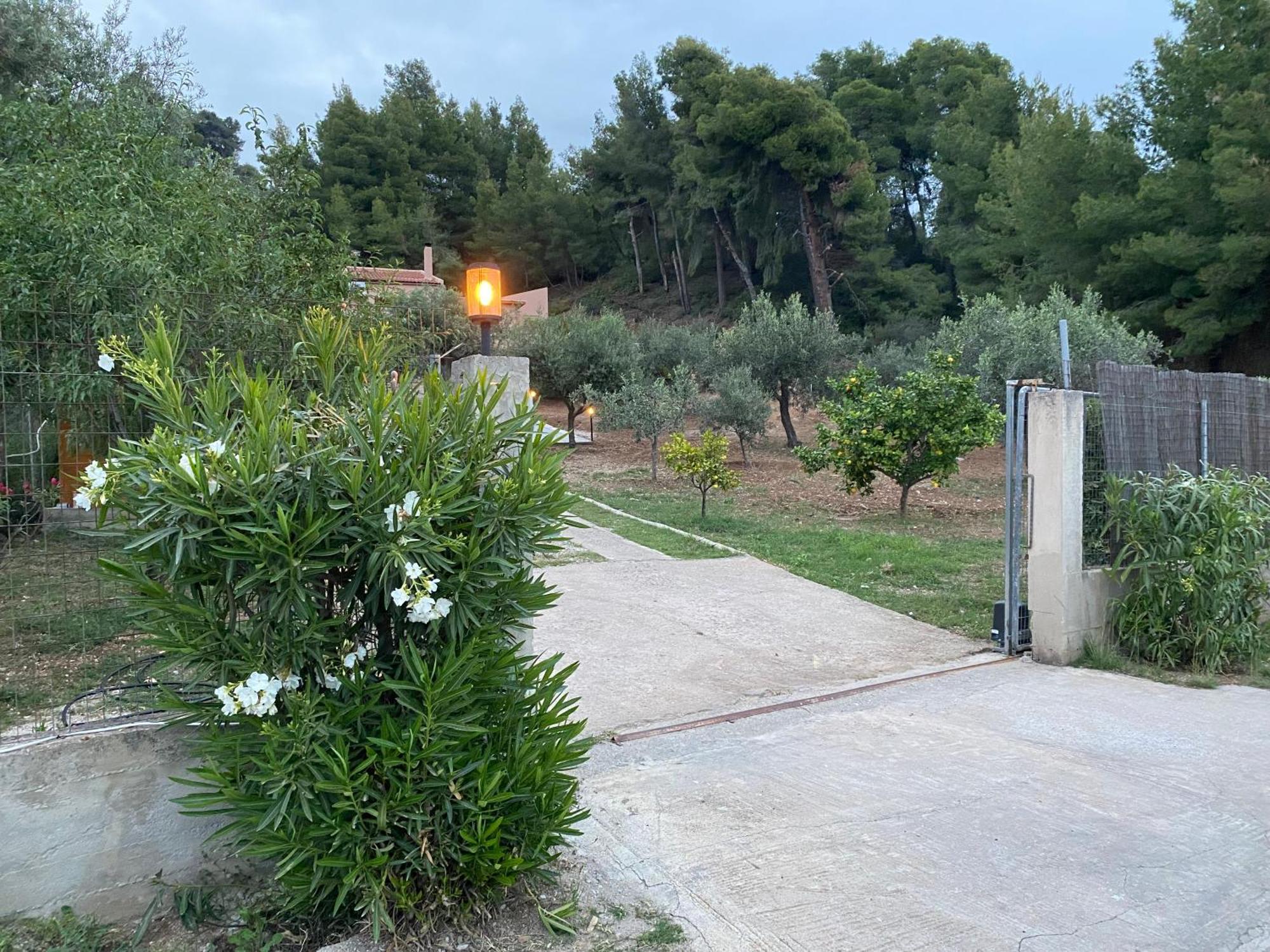 Askalosia Villa Άγιος Γεώργιος Εξωτερικό φωτογραφία
