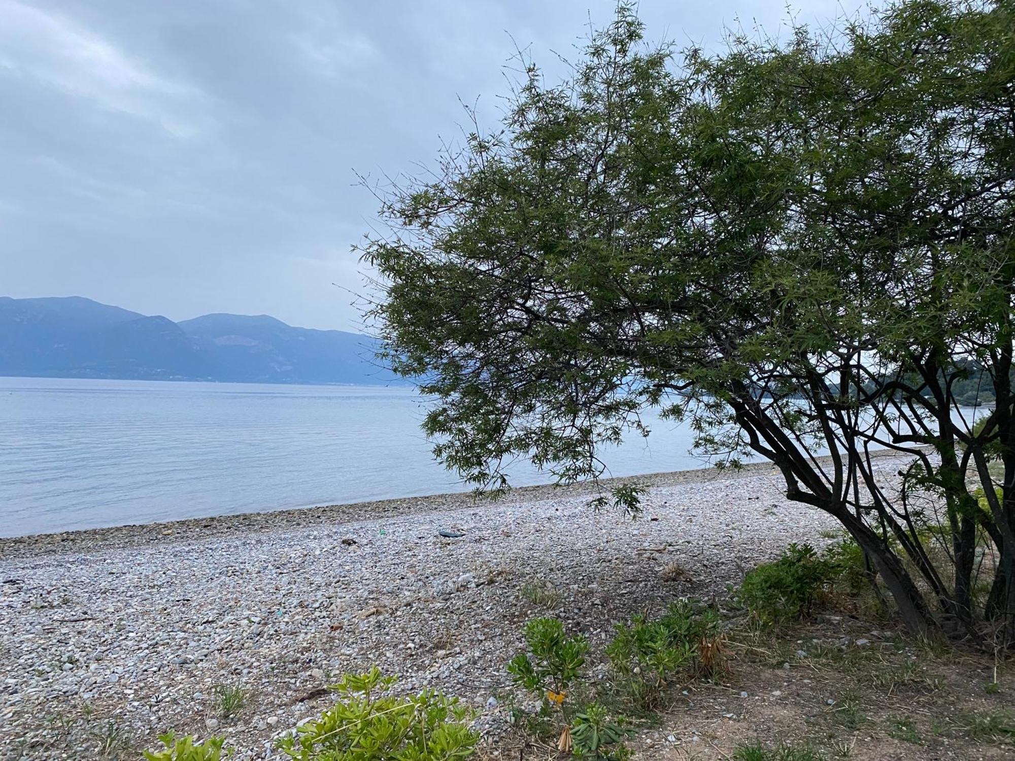 Askalosia Villa Άγιος Γεώργιος Εξωτερικό φωτογραφία
