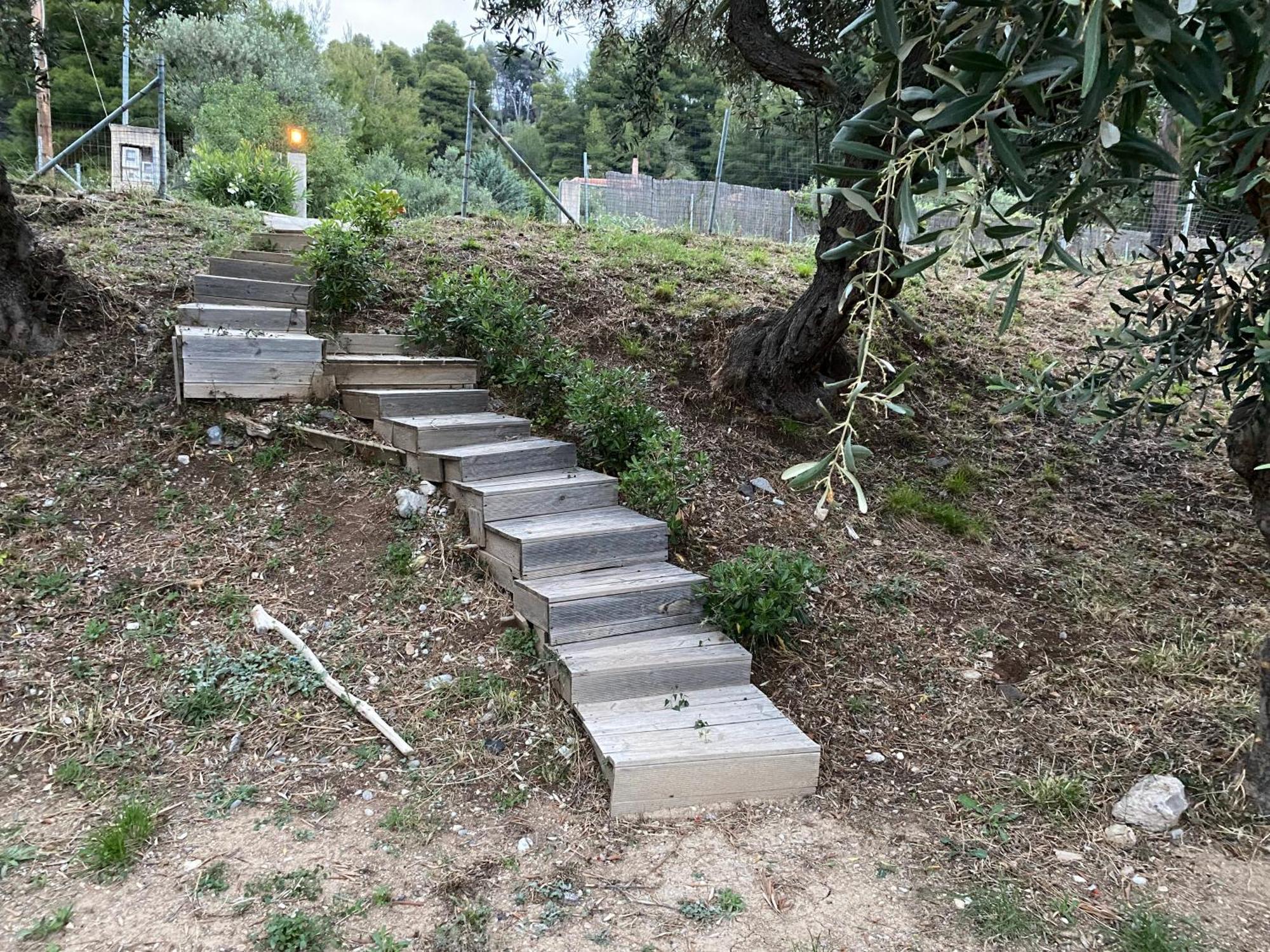 Askalosia Villa Άγιος Γεώργιος Εξωτερικό φωτογραφία